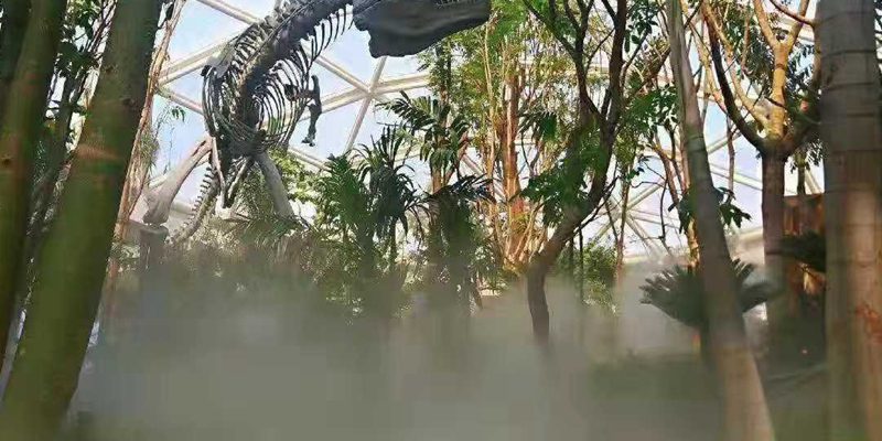 676f65d52228eb1a3033a1e6a229c9b